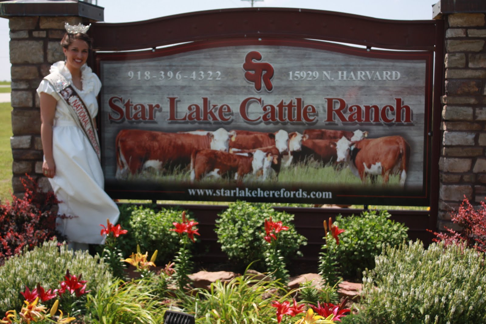 Cow Ranch