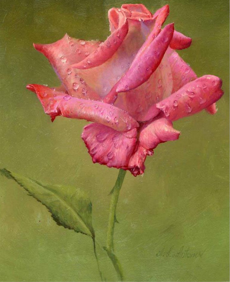 FLOR OLEO flor oleo: