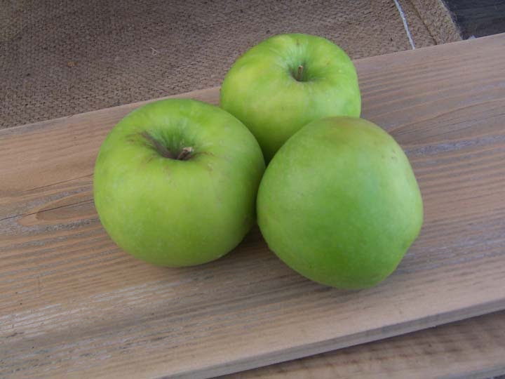 Another Year Without Groceries Got Apple Cores and Peels? Make Jelly!