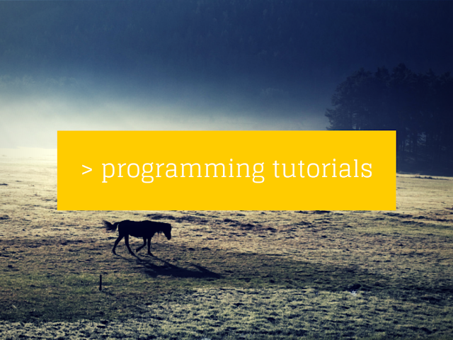 Best Programming Tutorials