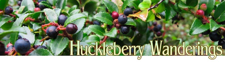 Huckleberry Wanderings