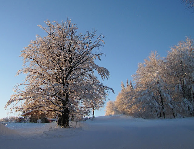 Zimowy poranek na Soszowie Wielkim [www.gorskiewedrowki.blogspot.com]
