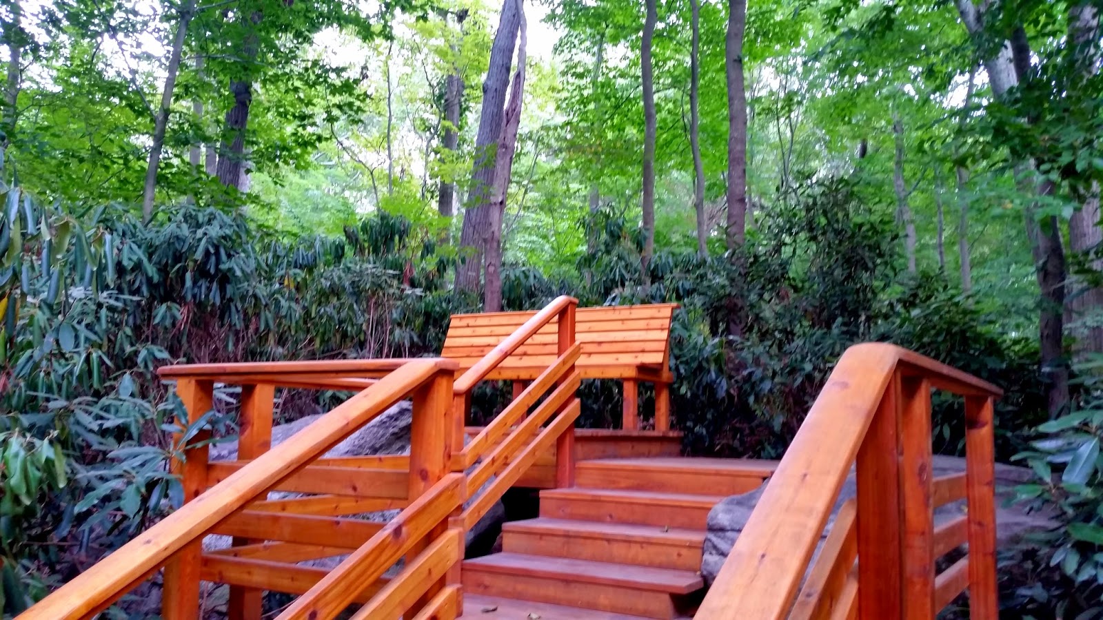 Avalon Trail Stony Brook, NY