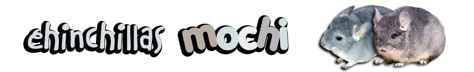Chinchillas Mochi