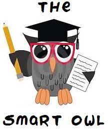 THE SMART OWL