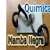 Química: La Mamba Negra