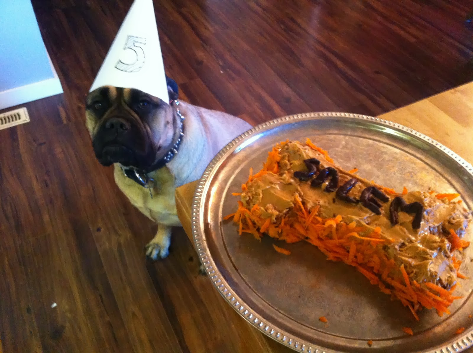 Food Swoon Peanut Butter Carrot Cake (For Dogs)