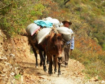 Transport in the mountains