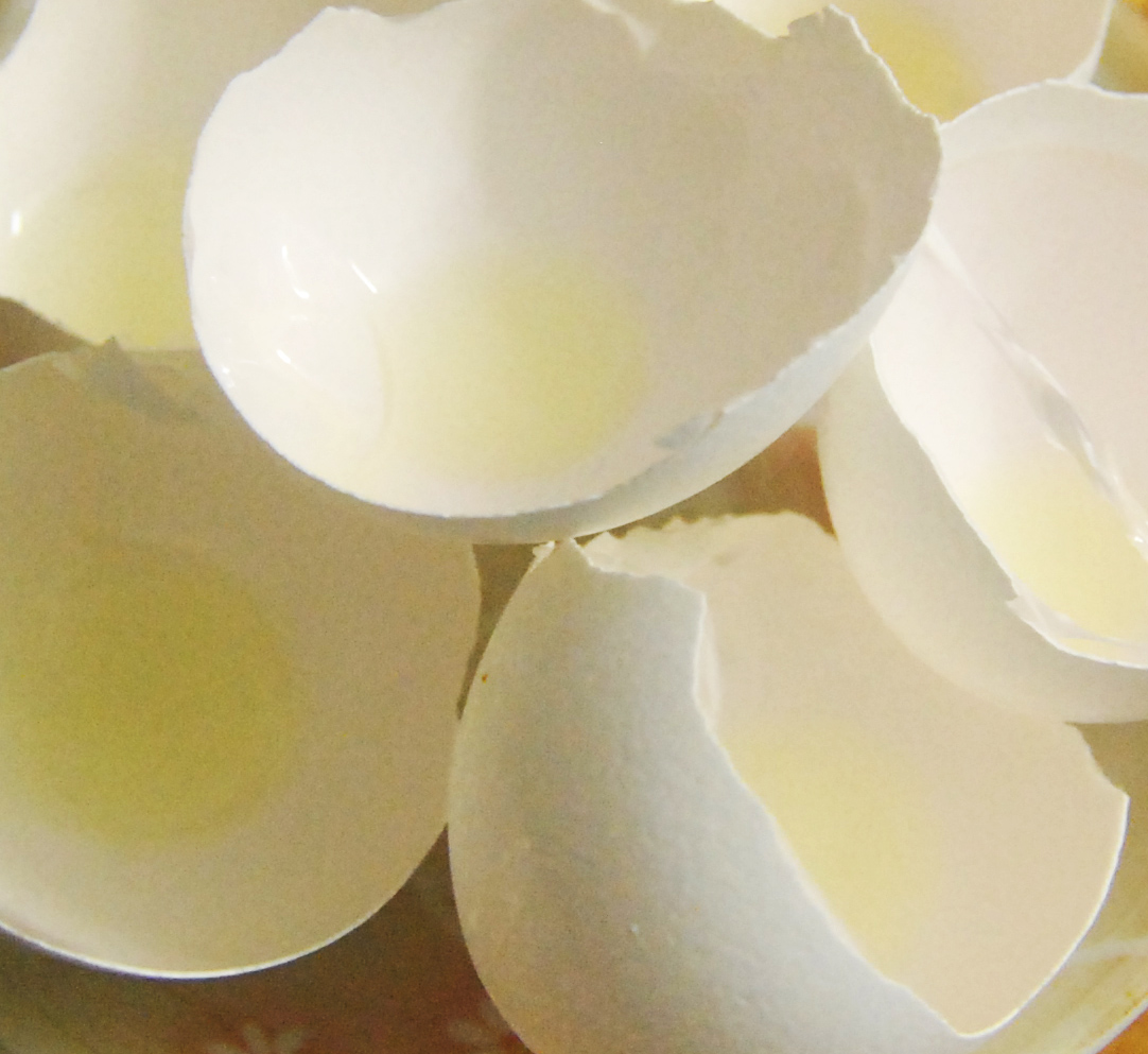 ELI5 Why Chicken Eggs in USA are white (the eggshells) and why they