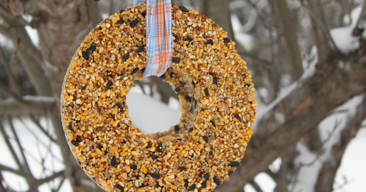 sweet and lovely crafts bird seed wreath