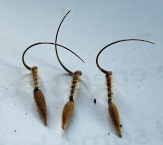 Propagating plants – To sow, or not to sow?