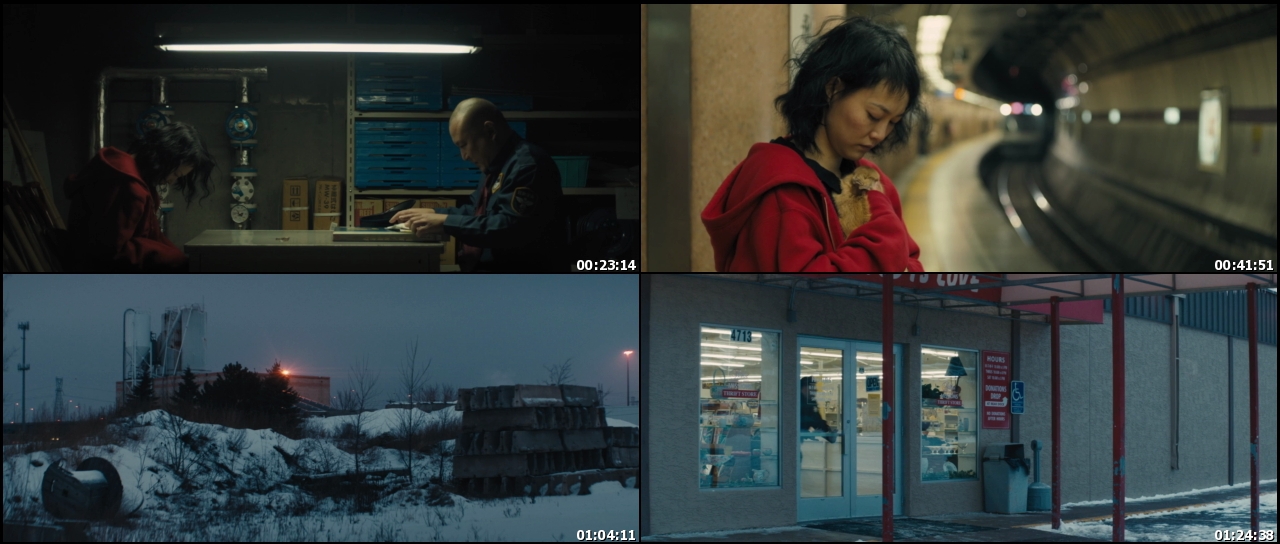 Kumiko, the Treasure Hunter 2014