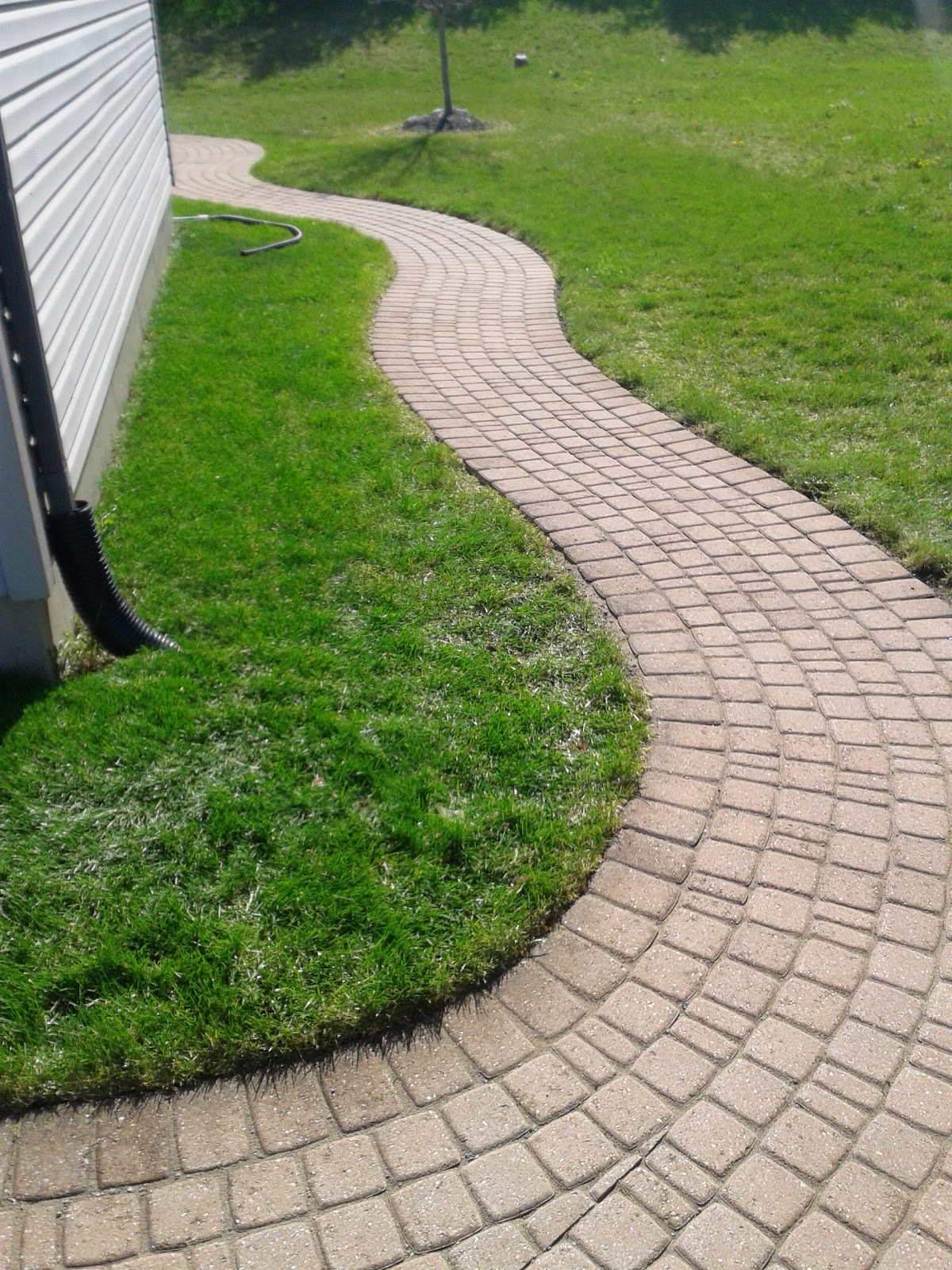 Brick Paver Patio Design, Installation, and Maintenance BRICK PATIO