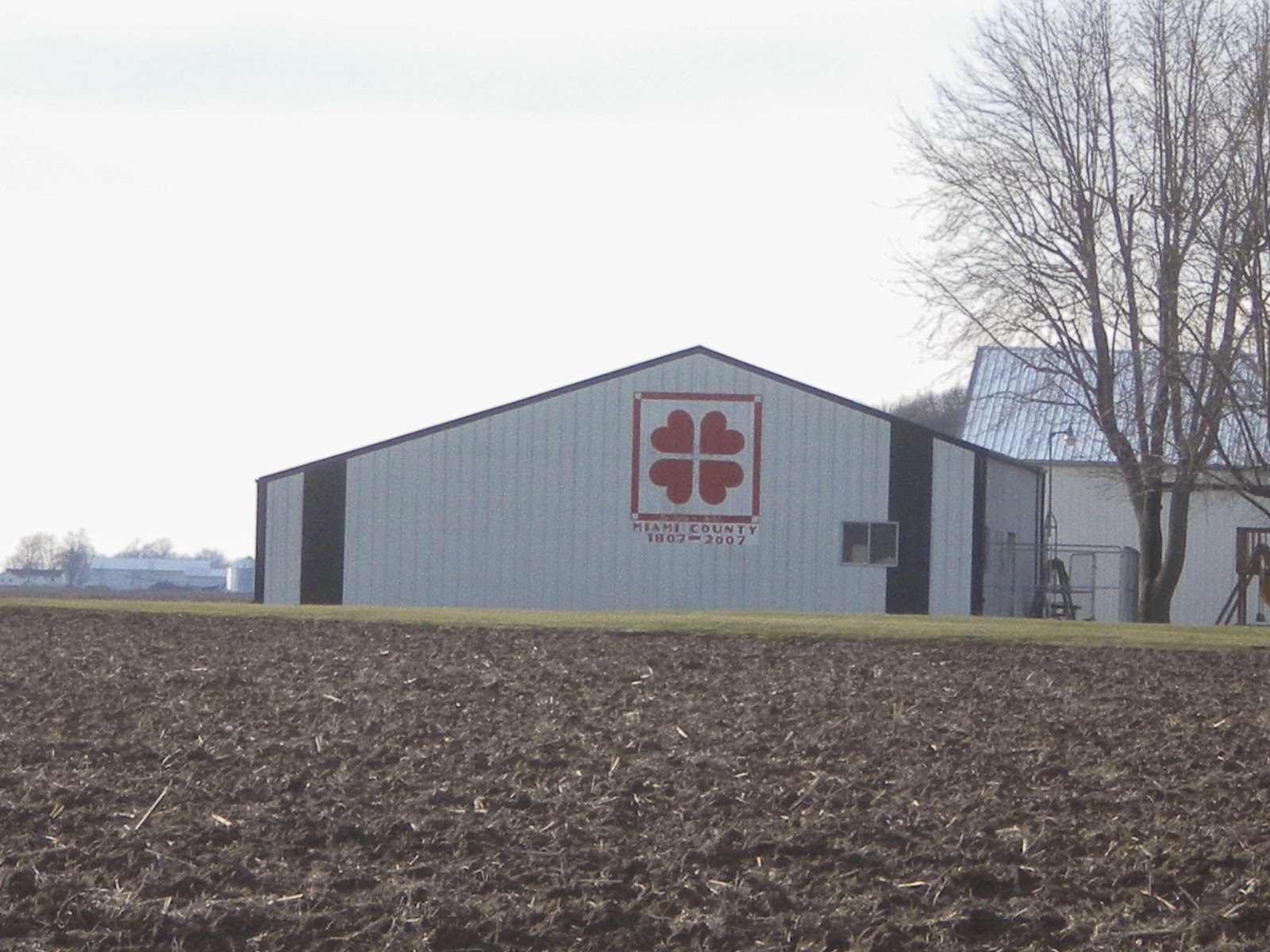 Blooming where you are planted