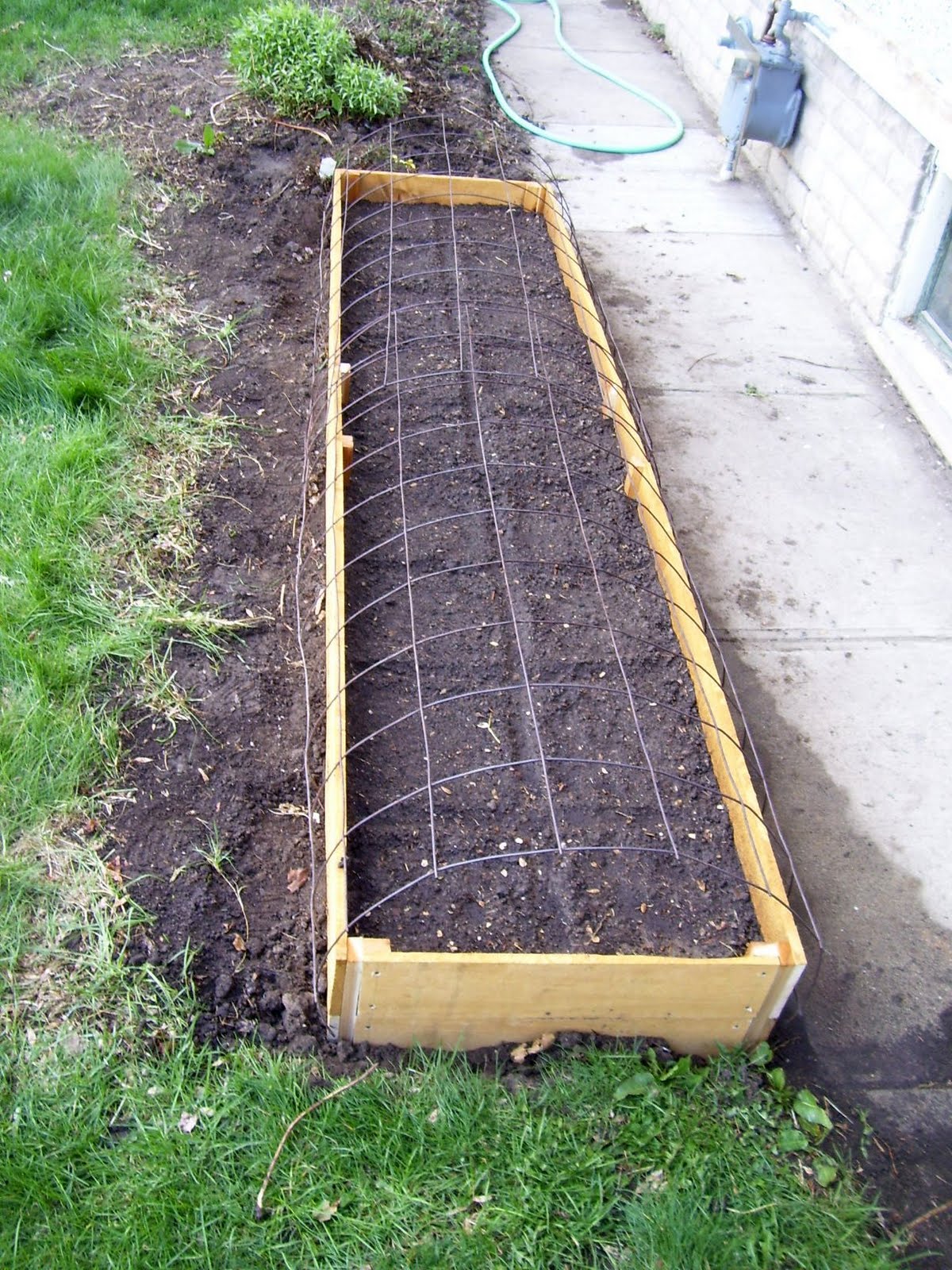 Elegant Dust: Gardening, 2011