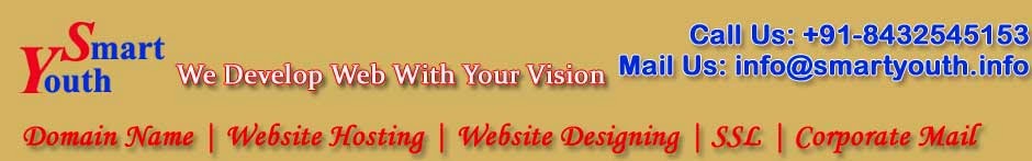 smart youth website designing company jaipur