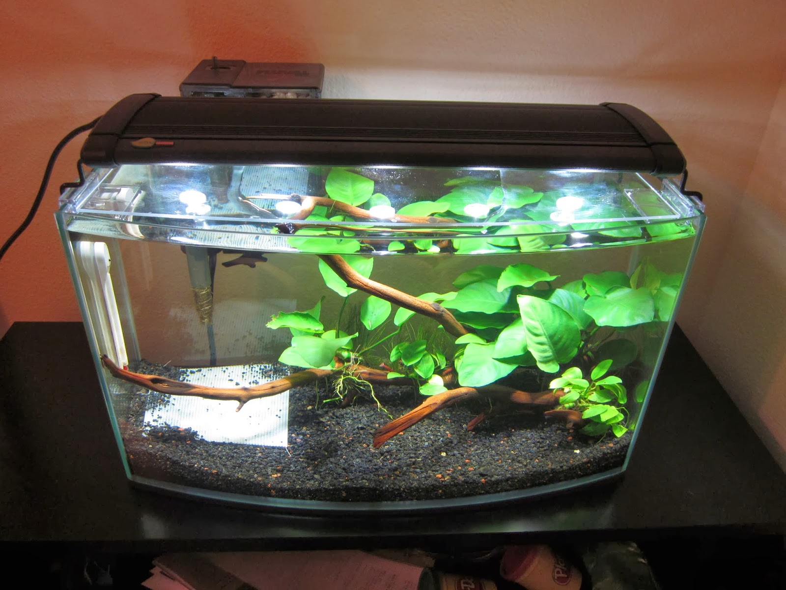 Aquascaping- Art and Science: DIY Project: Rimless Tank Cover