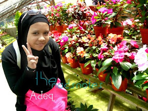 adeq ,,