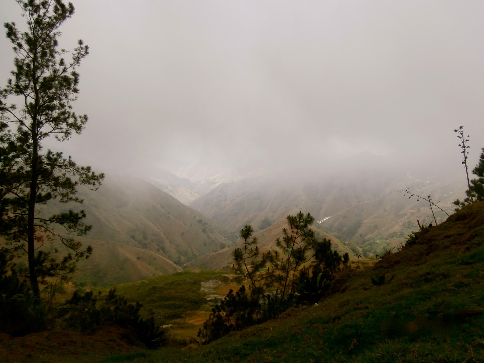 Midwife on a Mission! Montagne Noire