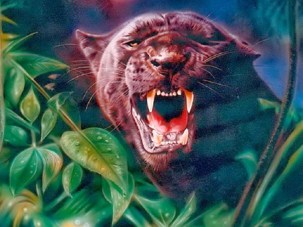 Desktop HD Wallpapers Free Downloads: Angry Black panther hd wallpapers