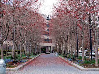 New York _Battery Park 1