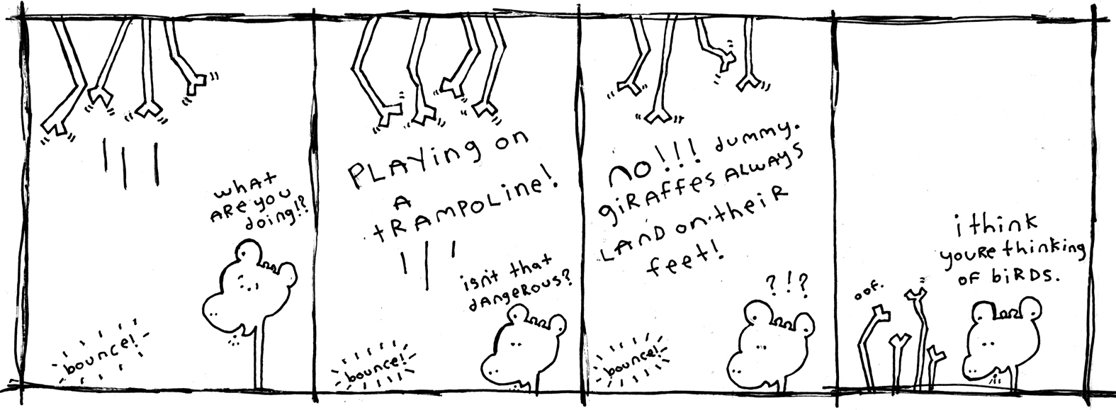 giraffe plays on a trampoline!