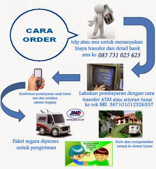 Cara Order