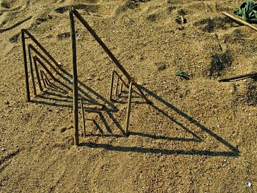 Keindahan Sebuah Bayangan Altovart Blog