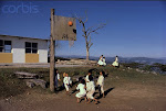 TODA AMERICA UNIDA POR EL BASQUETBOL