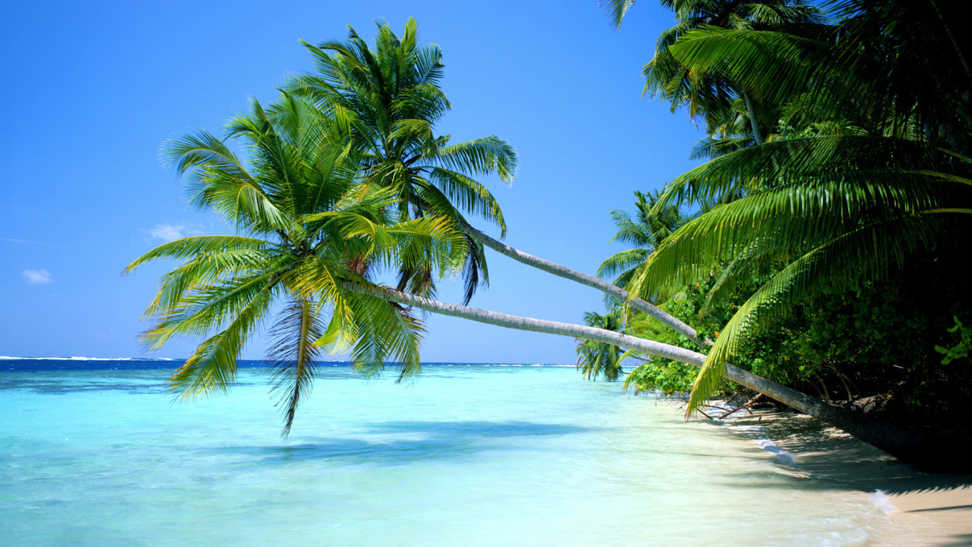 Tropical Beach Wallpaper Tropical Beach Wallpaper