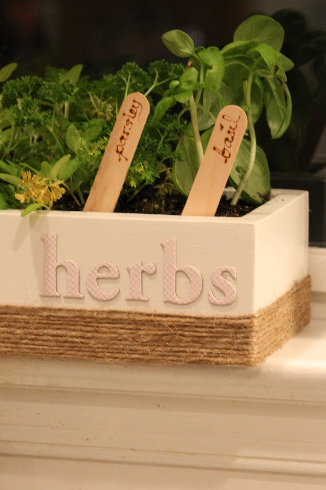 Mother's Day Herb Garden Bella Caiden