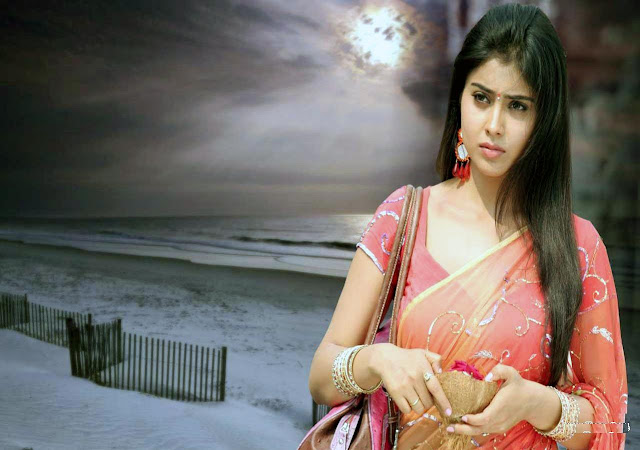 Shriya Saran Hd Photos 4 High Resolution Pictures