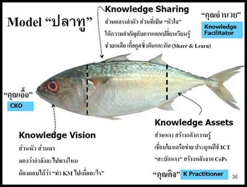 Model "ปลาทู"