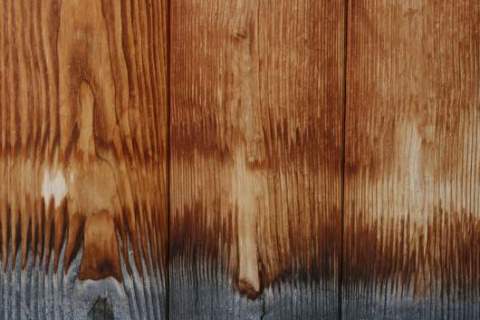 25 Free Hi-Res Wooden Textures