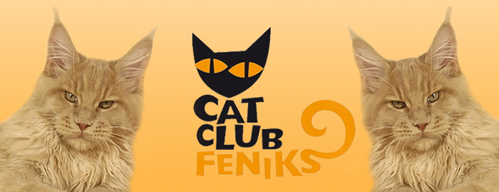 Należymy do klubu Cat Club Feniks