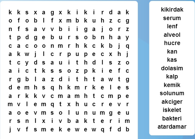 Vucudumuzdaki Sistemler Kelime Avi