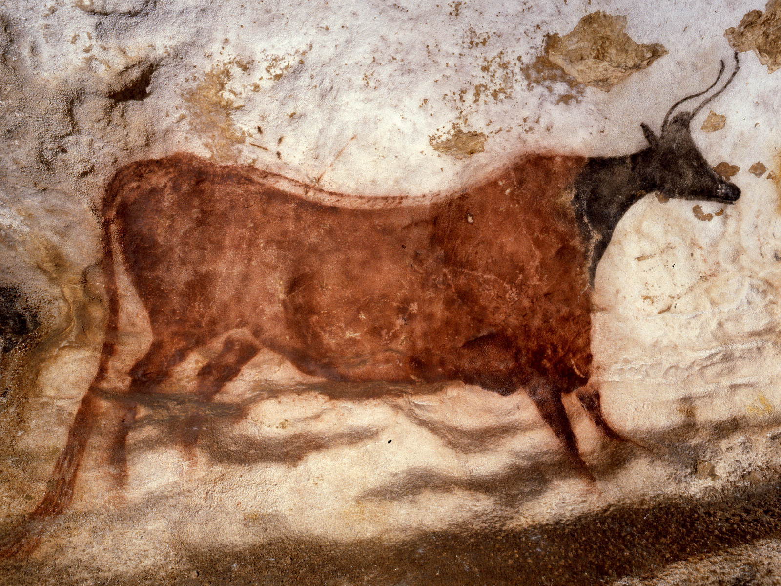 a faithful attempt: Cave Art Paintings