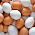 Εσύ το ήξερες; Ποια είναι η διαφορά ανάμεσα στα καφέ και τα άσπρα αυγά;