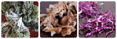 individual kale cabbage and guinness tarts