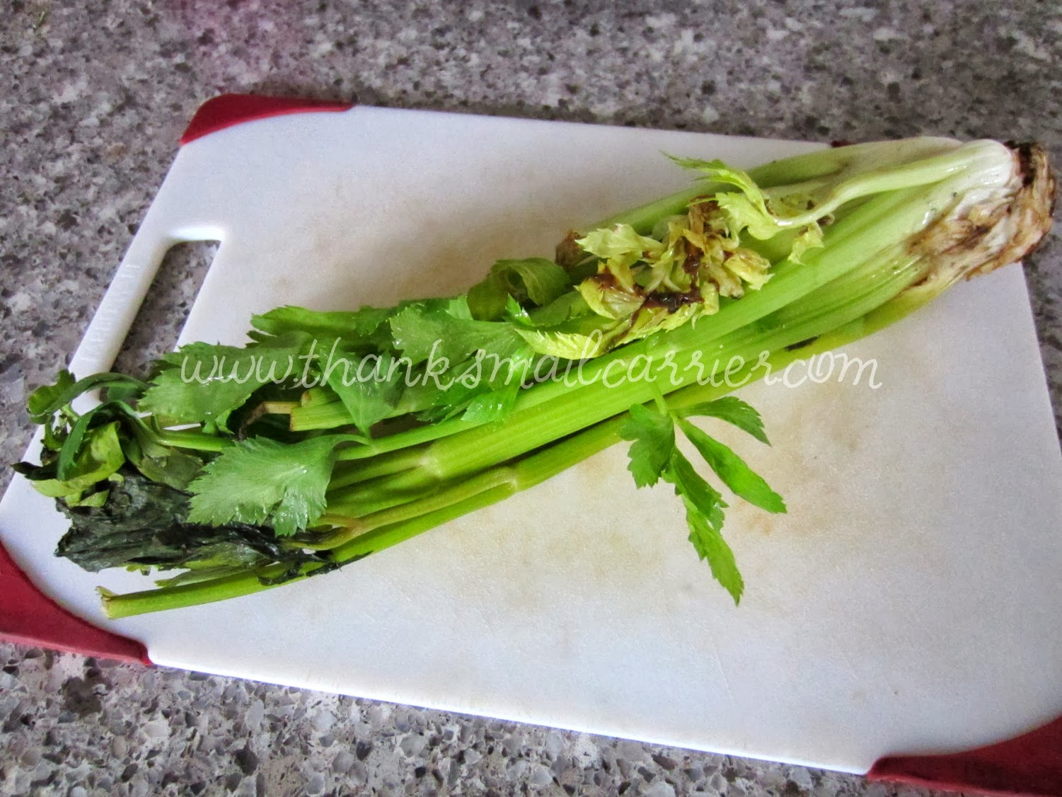 Foodsaver V2244 Not Turning On Retail Stores library.ecosystem.build