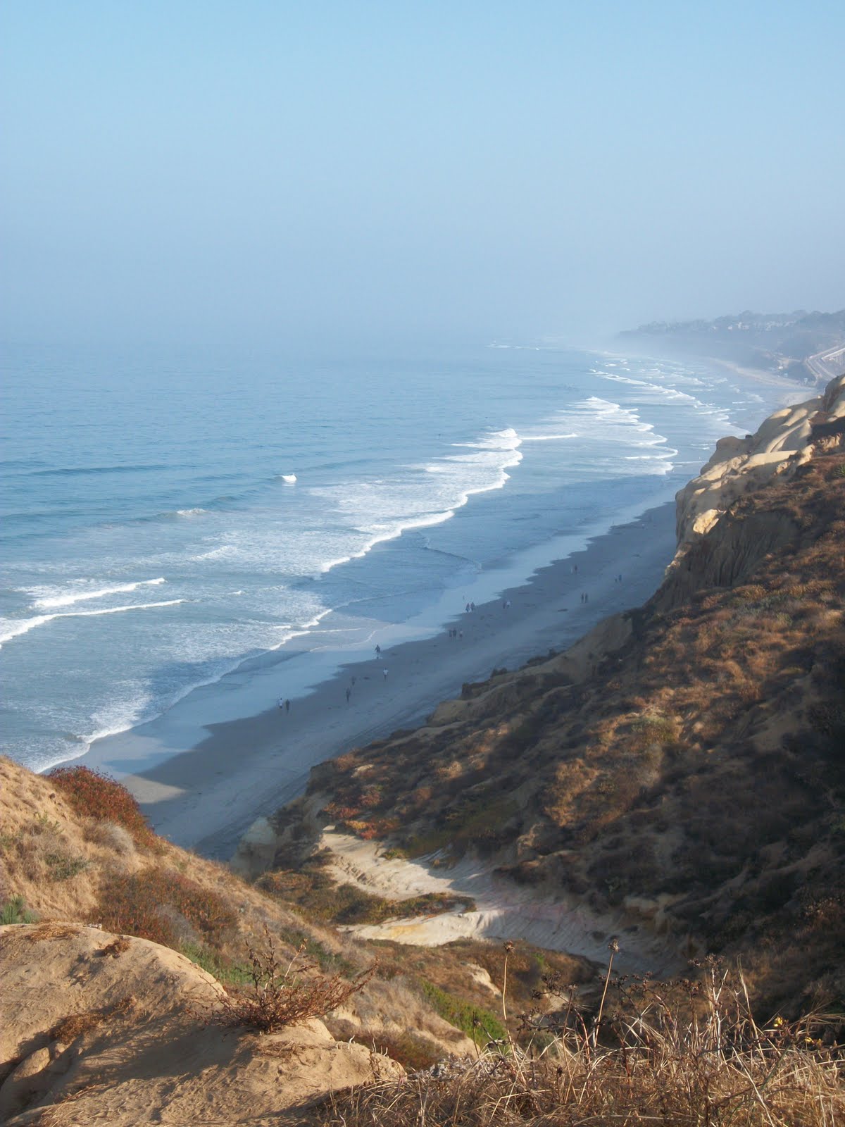 The Unpolished Stone: Torrey Pines: State Reserve and Beach