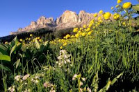 Südtirol Rosengarten Ferien in Südtirol