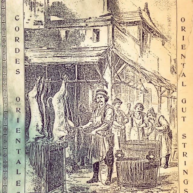 The Violin Shop Choosing Strings to Improve Your Sound