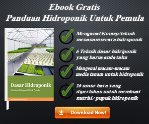 Ebook panduan hidroponik