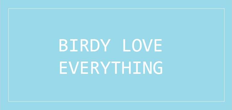 BIRDY LOVE EVERYTHING
