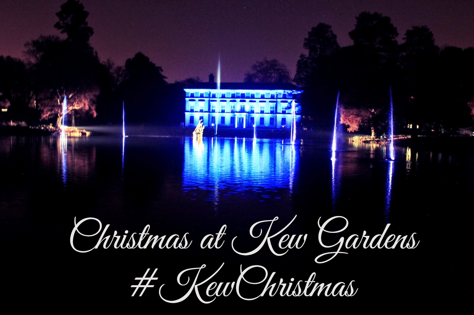 Christmas at Kew Gardens KewChristmas Shy, Strange, Manic