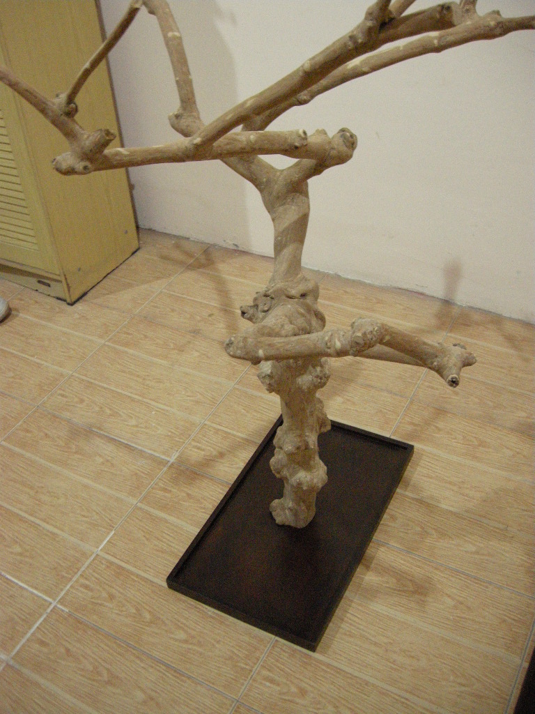 IndoGemstone Bird Stands