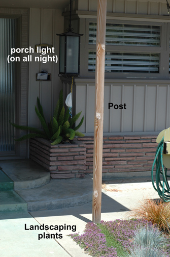 75 Best Coastal Landscaping Pictures Ideas Houzz