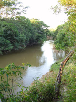 RIO ITAPETININGA PEDE SOCORRO!