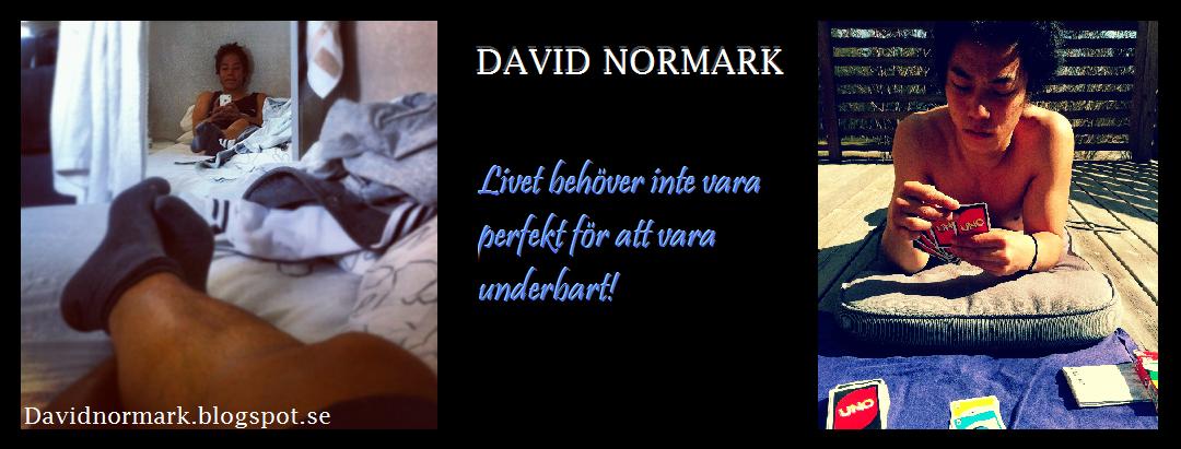 David Normark